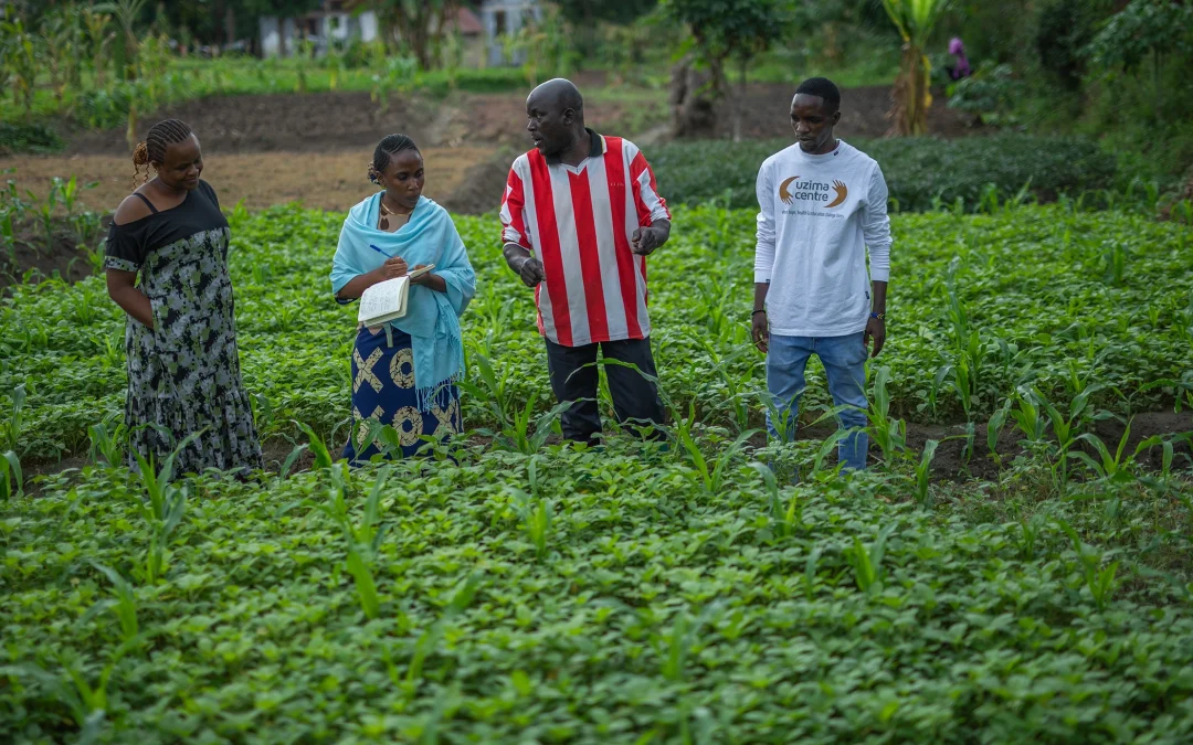 How Maguge Turned a Rented Farm Into a Thriving Household