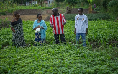How Maguge Turned a Rented Farm Into a Thriving Household