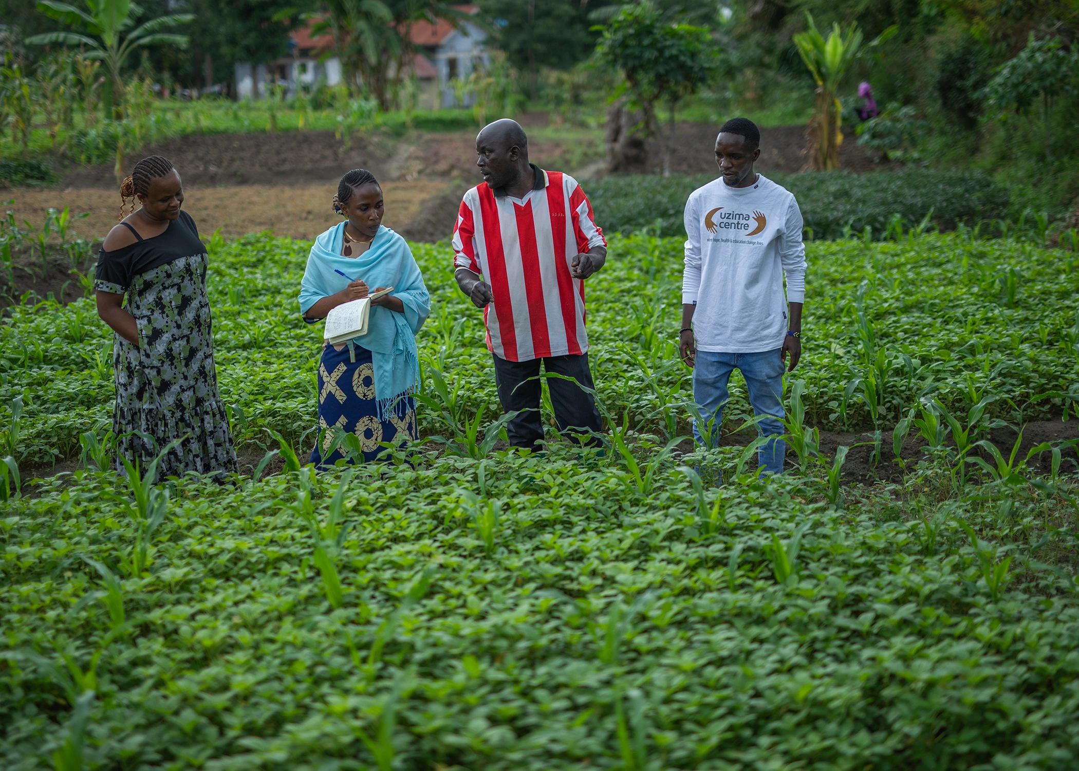 How Maguge turned a rented farm into a thriving household
